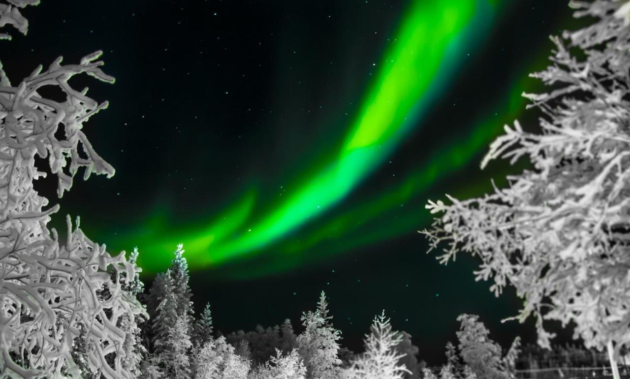 Hostit Cozy Apartments Rovaniemi Luaran gambar